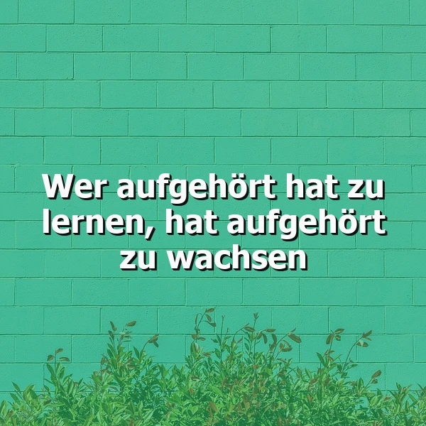 Lernen und Wachsen: Der Schlüssel zum Erfolg
