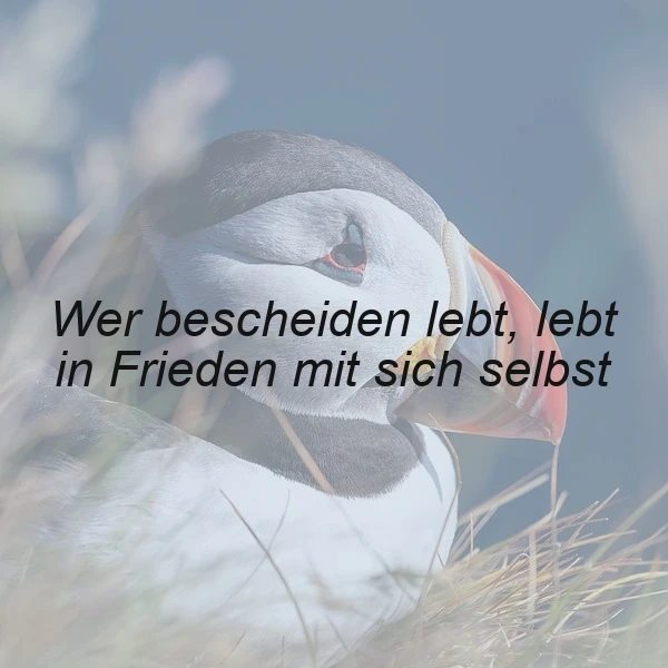Bescheidenheit bringt inneren Frieden - Ein inspirierendes Zitat