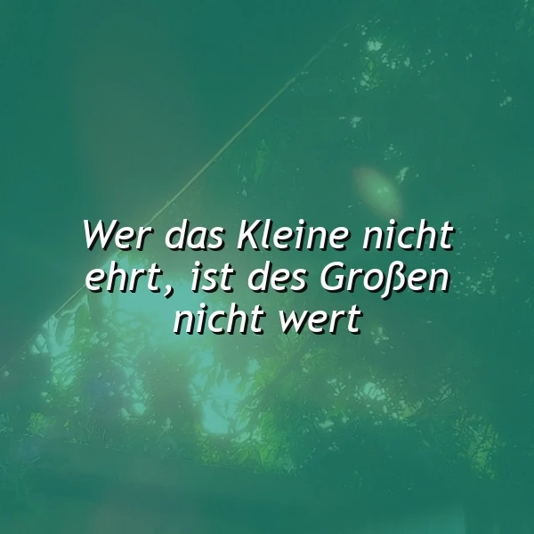 Kleine Dinge, große Wirkung: Wer das Kleine nicht ehrt...