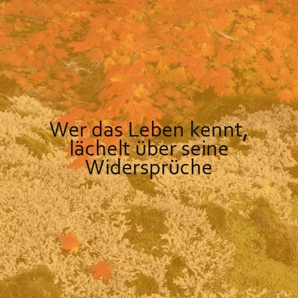 Lächle über die Widersprüche des Lebens