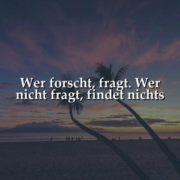Wer forscht, fragt: Entdecke die unermessliche Kraft des Suchens nach Wissen