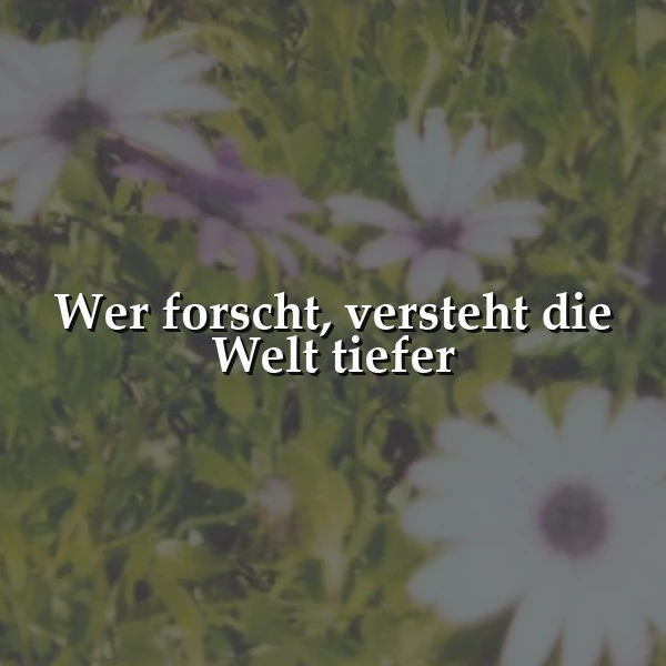 Die Welt entdecken: Warum Forschen uns tiefer verstehen lässt