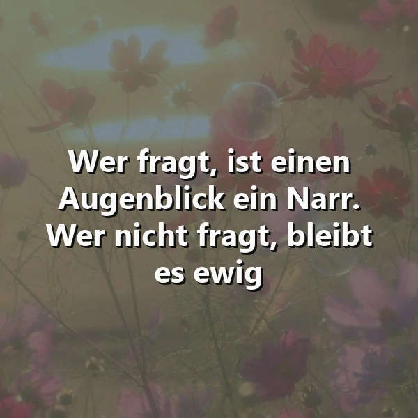 Mut zum Fragen: Eine Weisheit, die dich schlauer macht!