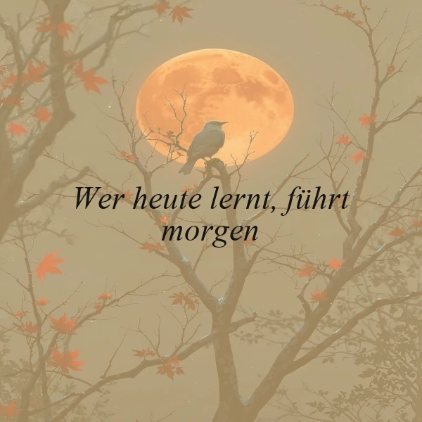 Lerne heute, führe morgen - Inspirierende Weisheit