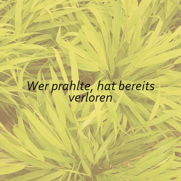 Ein Leben ohne Prahlerei - wahre Stärke zeigen