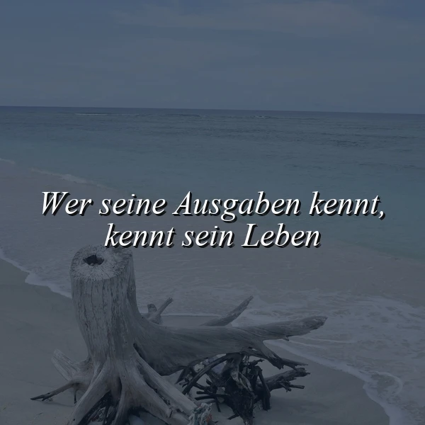 Ein ruhiger Strand bei gedämpftem Licht, wo ein verwitterter Baumstamm im nassen Sand liegt, umgeben von sanften Wellen. Der inspirierende Spruch "Wer seine Ausgaben kennt, kennt sein Leben" steht groß in weißer Schrift über der Szenerie, vermittelnd eine nachdenkliche Stimmung.