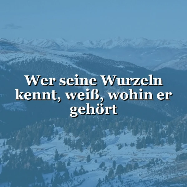 Woher du kommst, sagt dir, wo dein Koffer hingehört – Zitate zum Schmunzeln