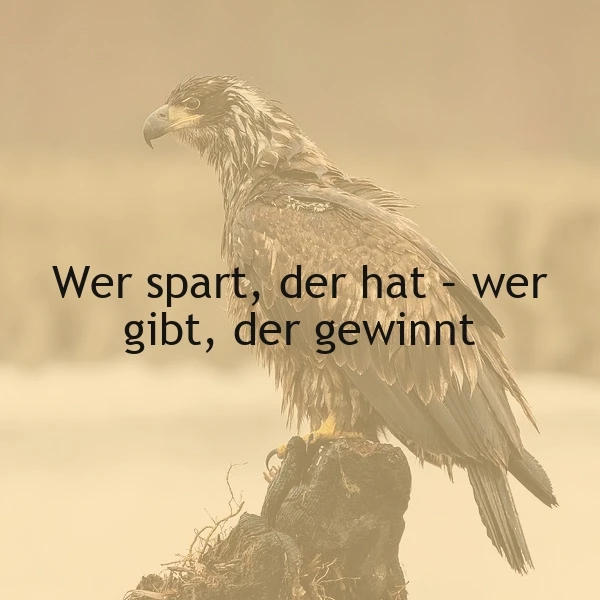 Sparen oder Teilen: Was bringt wirklich Erfolg?