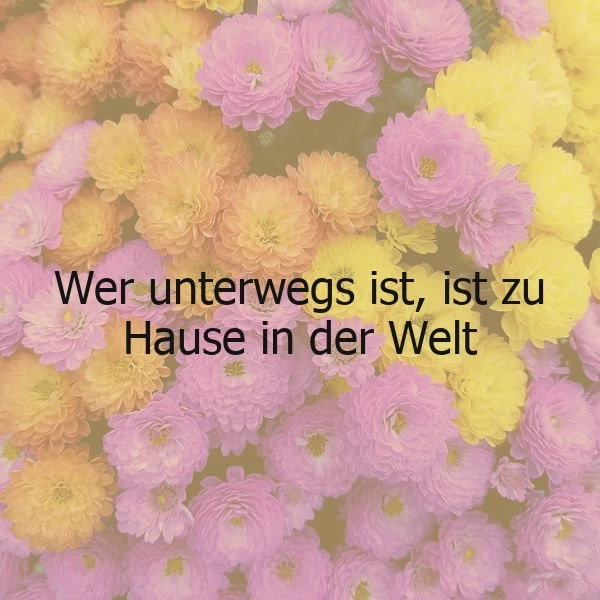 Heimat ist kein Ort, sondern ein Gefühl: Unterwegs sein, zu Hause sein!
