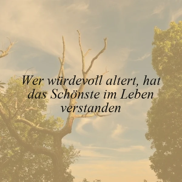 Würdevoll altern: Das schönste Verständnis vom Leben. Ein Spruchbild.