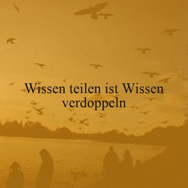 Ein sonniges Bild mit einer Gruppe von Menschen am Ufer eines Sees, Vögel fliegen am Himmel, das Zitat 'Wissen teilen ist Wissen verdoppeln' ist zentral platziert