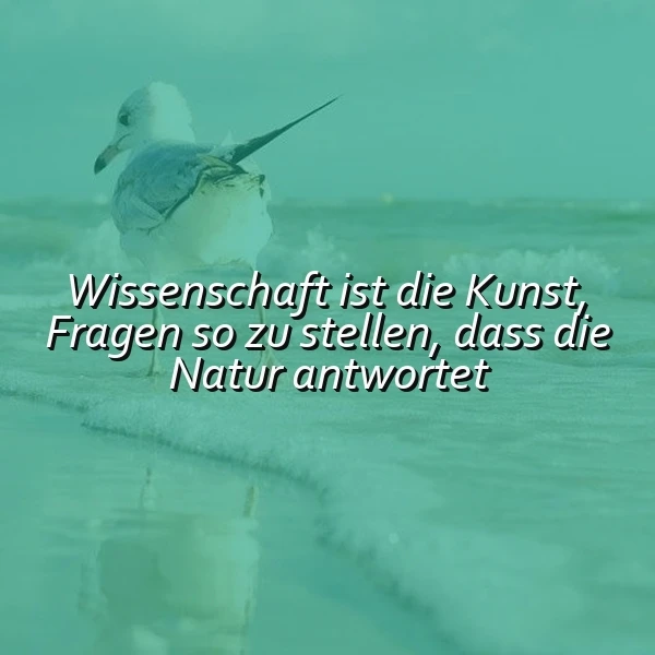 Die Kunst, die Natur zu befragen - Inspirierende Weisheit