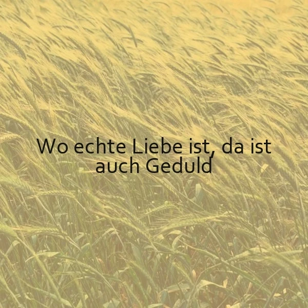 Ein Feld mit hohen, goldenen Gräsern, die im Wind wehen. Im Vordergrund ist ein schwarzer Text aufgemalt: 'Wo echte Liebe ist, da ist auch Geduld'. Die Atmosphäre ist friedlich und inspirierend.