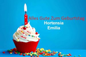 Alles Gute Zum Geburtstag Hortensia Emilia bilder 300x200 - Alles Gute Zum Geburtstag Albert Karl bilder