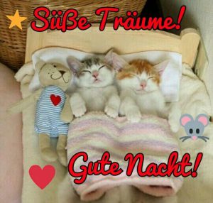 süße gute nacht bilder für whatsapp Bilder und Sprüche