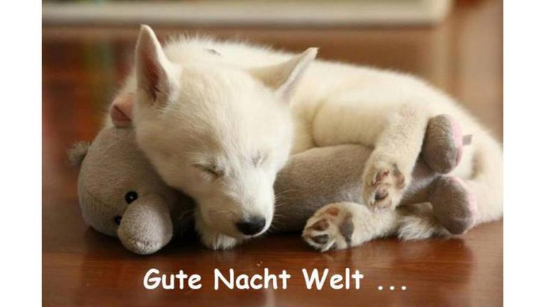 süße gute nacht bilder für whatsapp Bilder und Sprüche