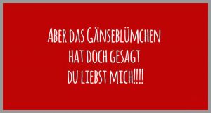 Aber das gaensebluemchen hat doch gesagt du liebst mich 300x161 - You can fake a smile but you can t fake your feelings