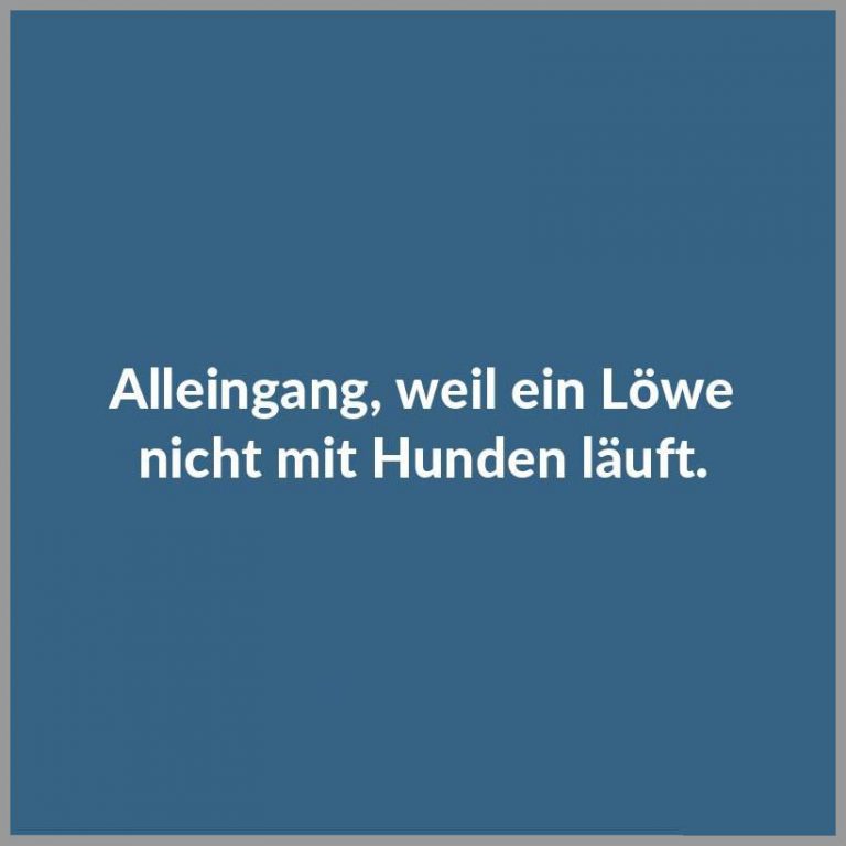 Alleingang weil ein loewe nicht mit hunden laeuft