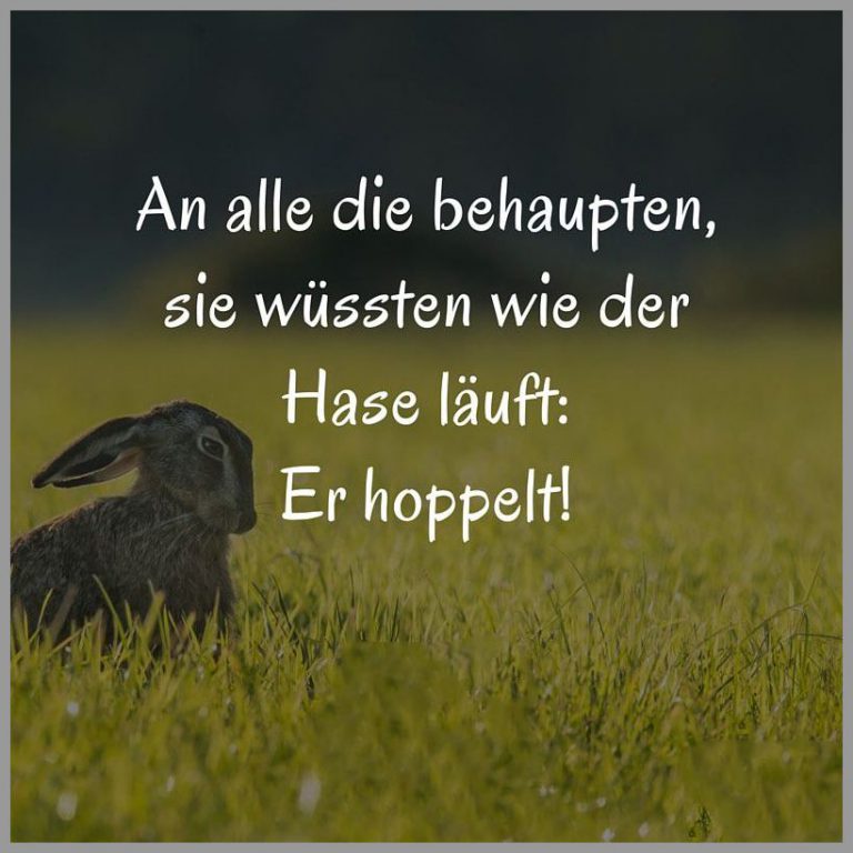 An alle die behaupten sie wuessten wie der hase laeuft er hoppelt