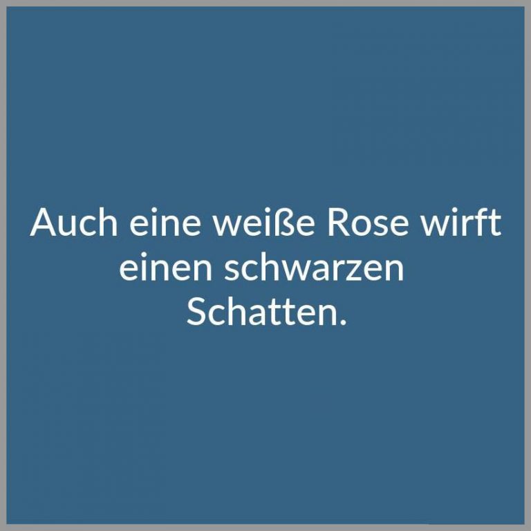 Auch eine weisse rose wirft einen schwarzen schatten