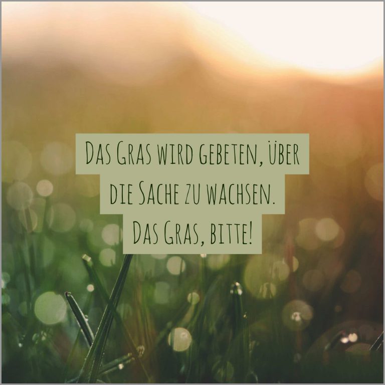 Das gras wird gebeten ueber die sache zu wachsen das gras bitte