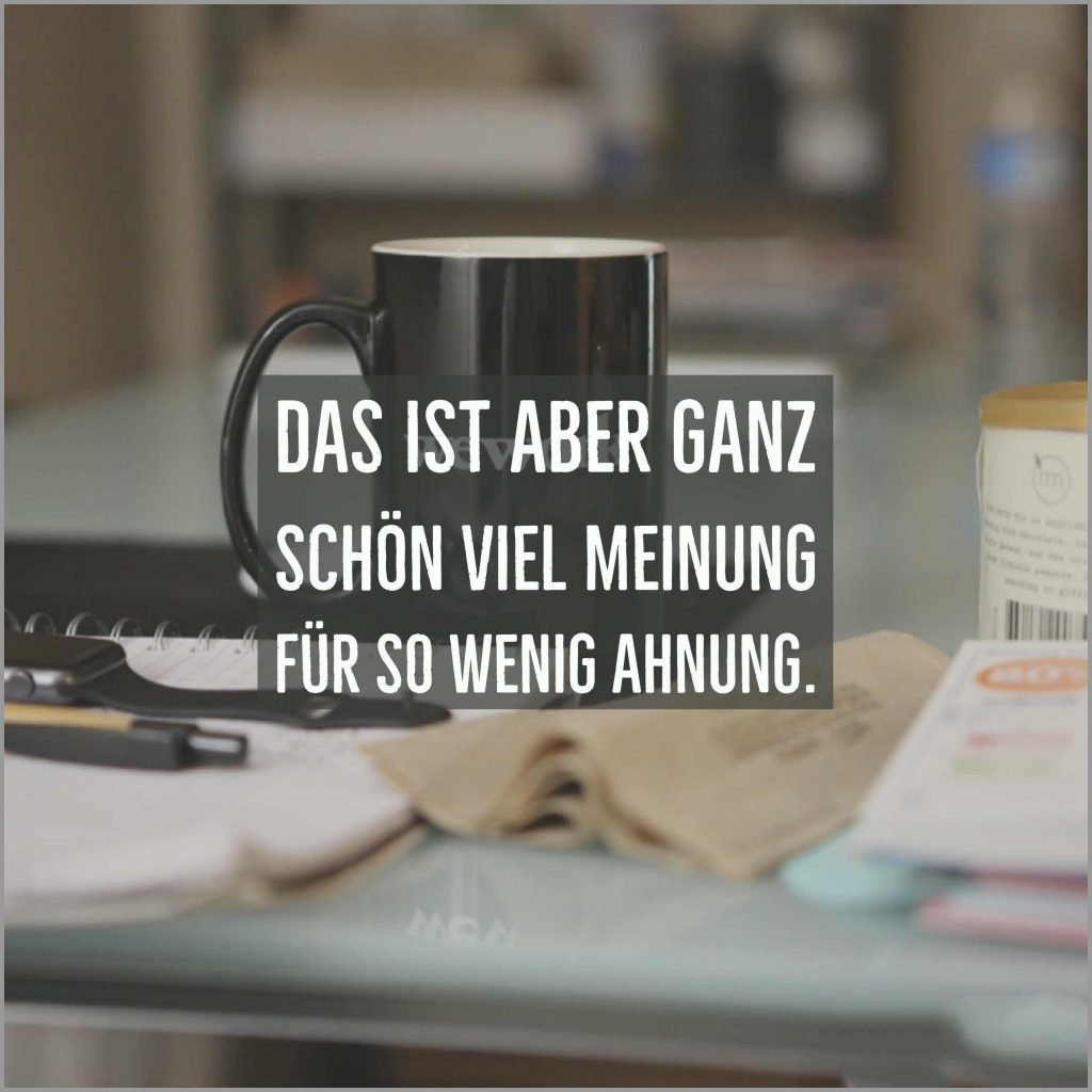 Das ist aber ganz schoen viel meinung fuer so wenig ahnung Bilder und