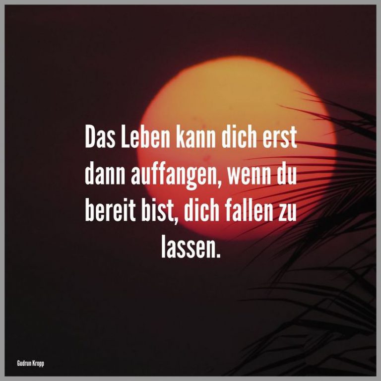 Das leben kann dich erst dann auffangen wenn du bereit bist dich fallen zu lassen