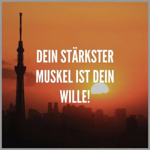 Dein staerkster muskel ist dein wille 300x300 - Learn from yesterday live for today hope for tomorrow the important thing is not to stop questioning
