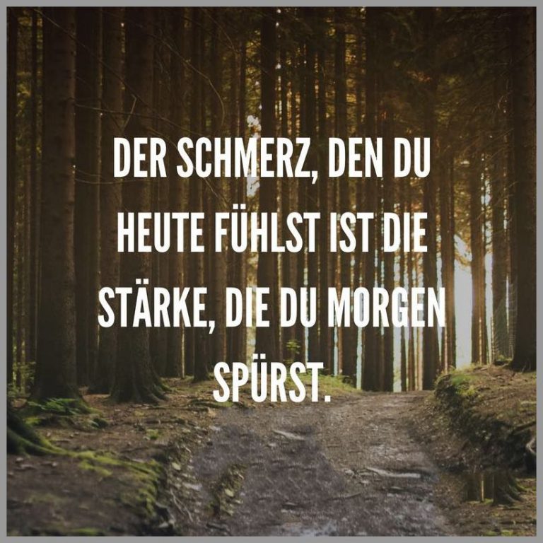 Der schmerz den du heute fuehlst ist die staerke die du morgen spuerst