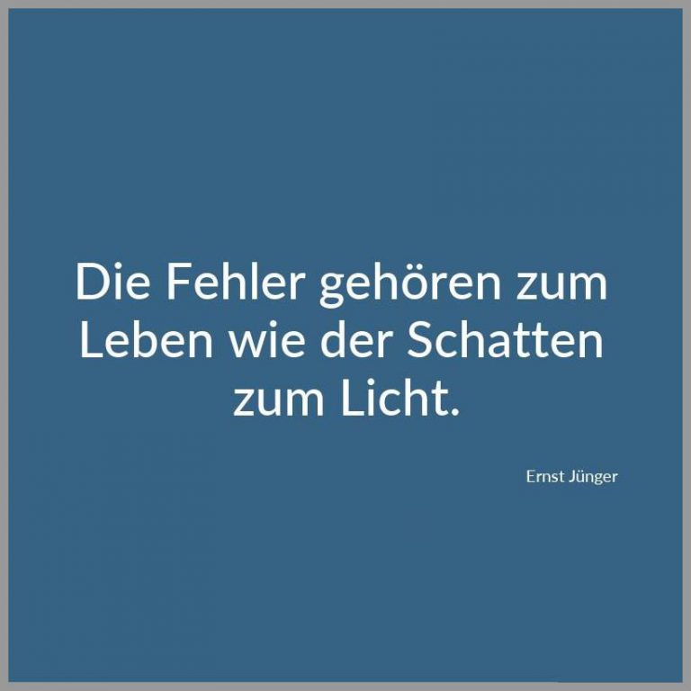 Die fehler gehoeren zum leben wie der schatten zum licht