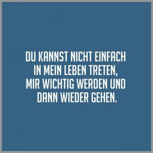 Du kannst nicht einfach in mein leben treten mir wichtig werden und dann wieder gehen