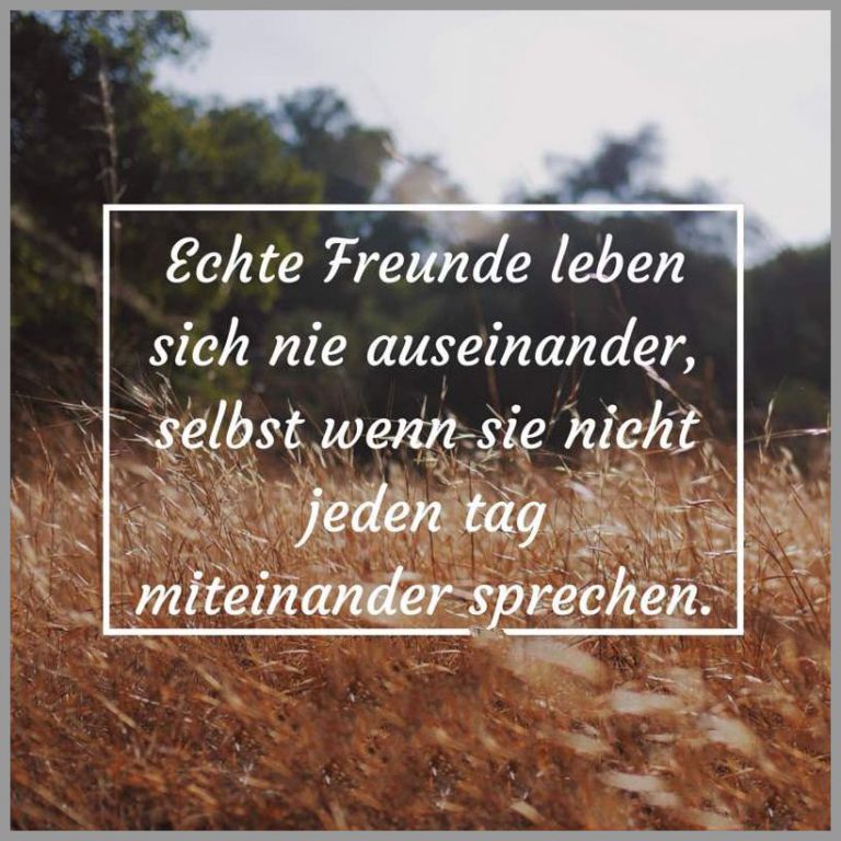 Echte freunde leben sich nie auseinander selbst wenn sie nicht jeden tag miteinander sprechen