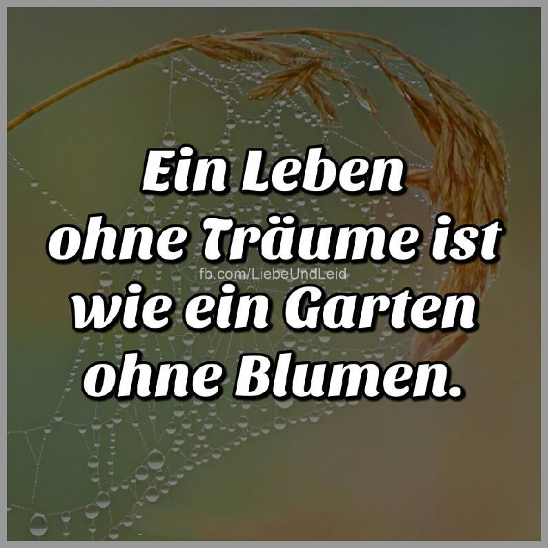 Ein leben ohne traeume ist wie Bilder und Sprüche