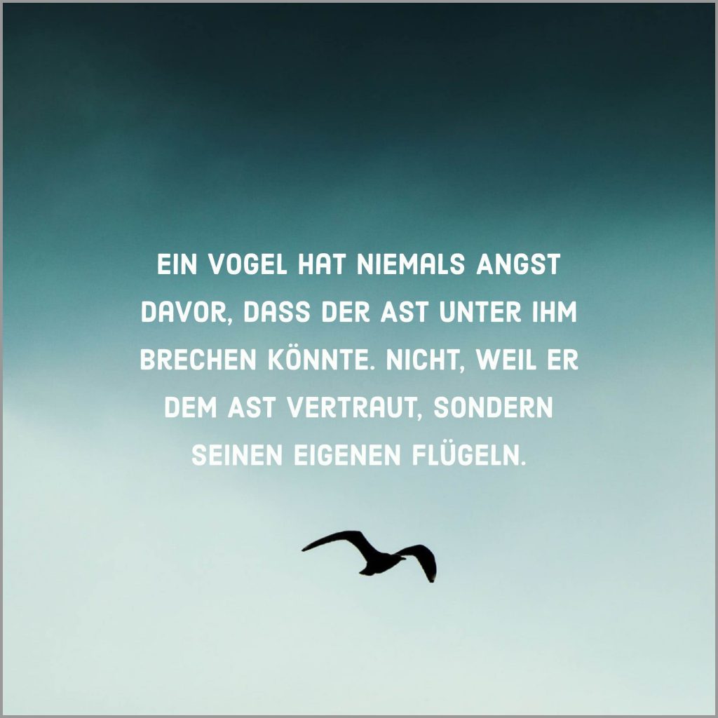 Ein vogel hat niemals angst davor dass der ast unter ihm brechen