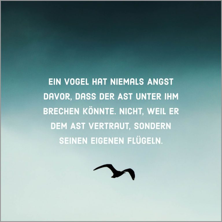 Ein vogel hat niemals angst davor dass der ast unter ihm brechen koennte nicht weil er dem ast vertraut sondern seinen eigenen fluegeln