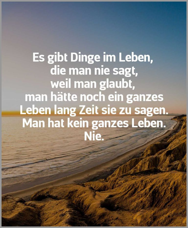 Es gibt dinge im leben die man nie sagt weil man glaubt man haette noch ein ganzes leben lang zeit sie zu sagen man hat kein ganzes leben nie