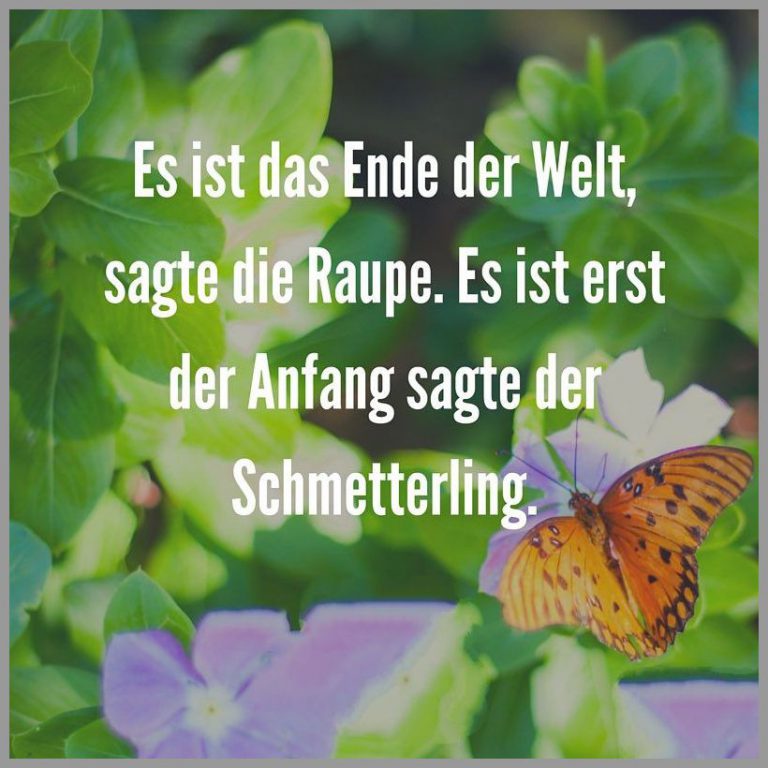 Es ist das ende der welt sagte die raupe es ist erst der anfang sagte der schmetterling