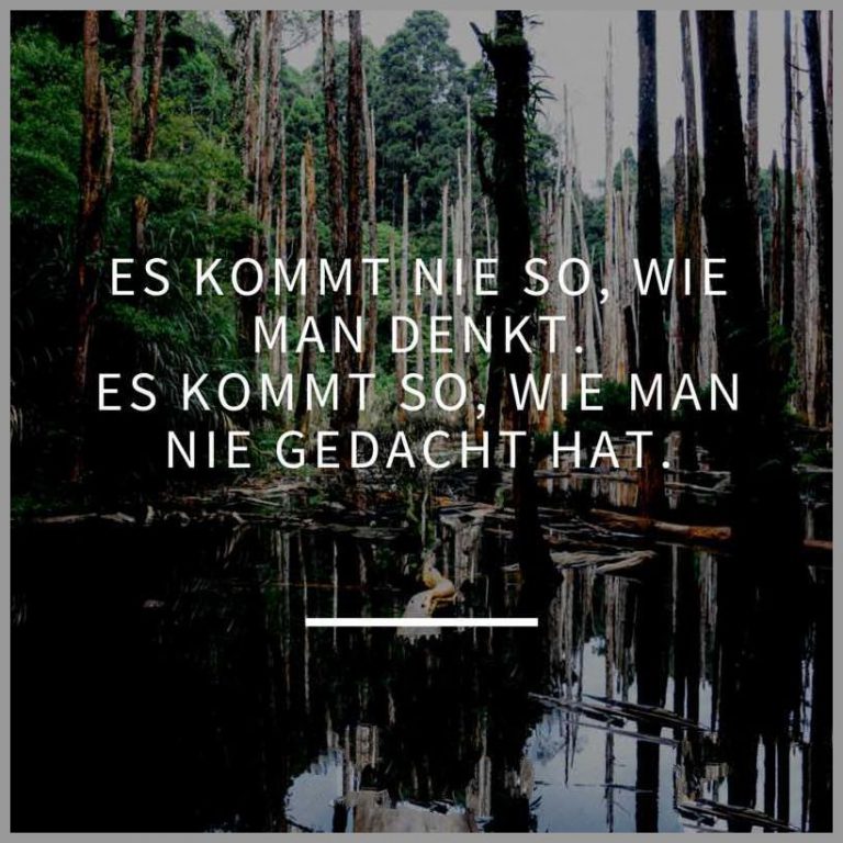 Es kommt nie so wie man denkt es kommt so wie man nie gedacht hat