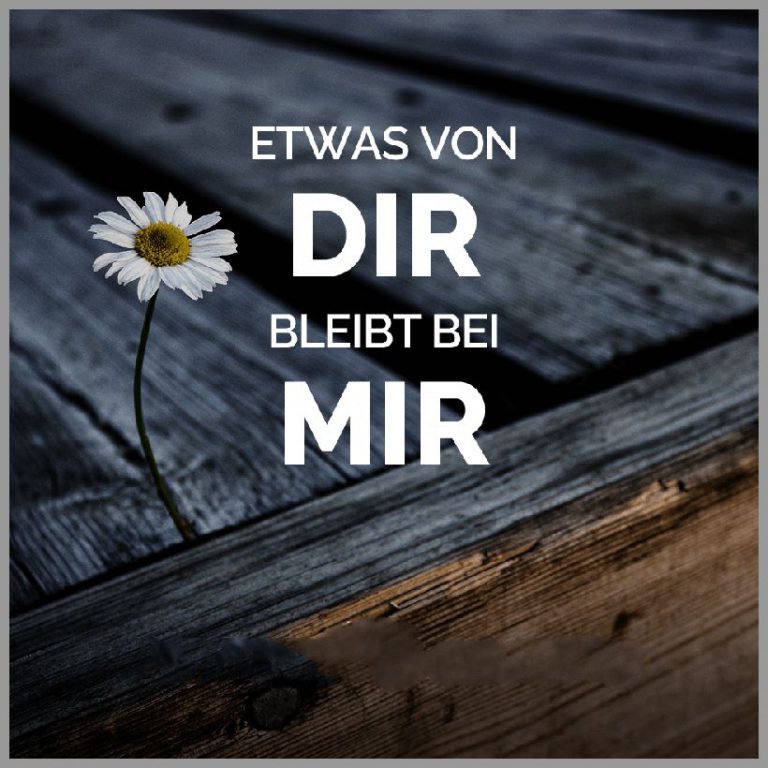 Lege Dich Nicht Mit Einer Löwin An Leg dich nicht mit einer loewin an wenn du es nur gewohnt bist mit