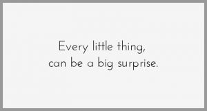 Every little thing can be a big surprise 300x161 - Wer kommt wird nach seinem gesicht beurteilt wer geht nach seinem kopf