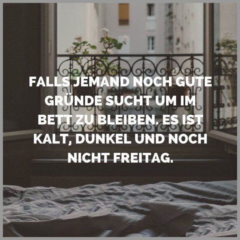 Falls jemand noch gute gruende sucht um im bett zu bleiben es ist kalt dunkel und noch nicht freitag