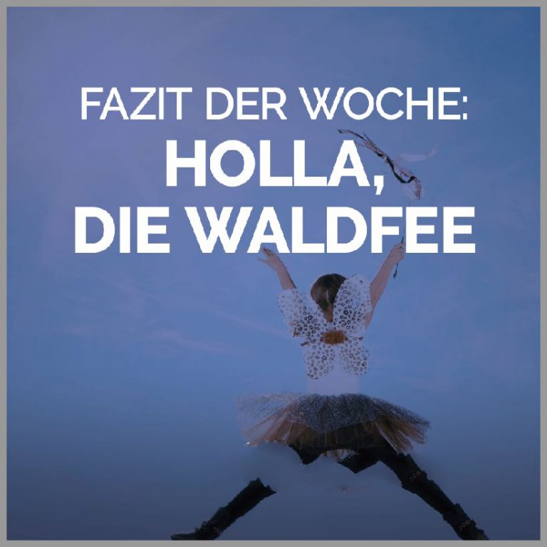 Fazit der woche holla die waldfee