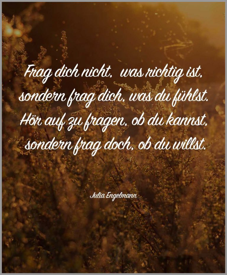 Frag dich nicht was richtig ist sondern frag dich was du fuehlst hoer auf zu fragen ob du kannst sondern frag doch ob du willst