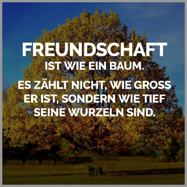 Freundschaft ist wie ein baum es zaehlt nicht wie gross er ist sondern wie tief seine wurzeln sind