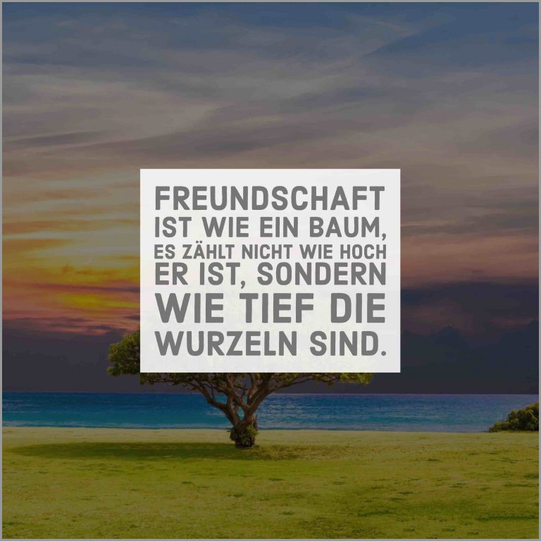 Freundschaft ist wie ein baum es zaehlt nicht wie hoch er ist sondern