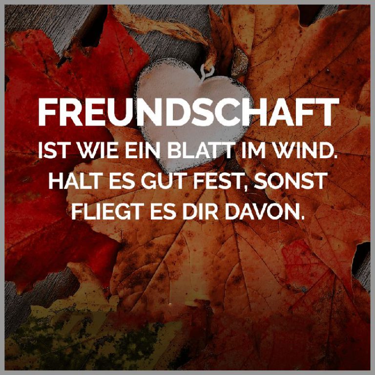 Freundschaft ist wie ein blatt im wind halt es gut fest sonst fliegt es dir davon 1