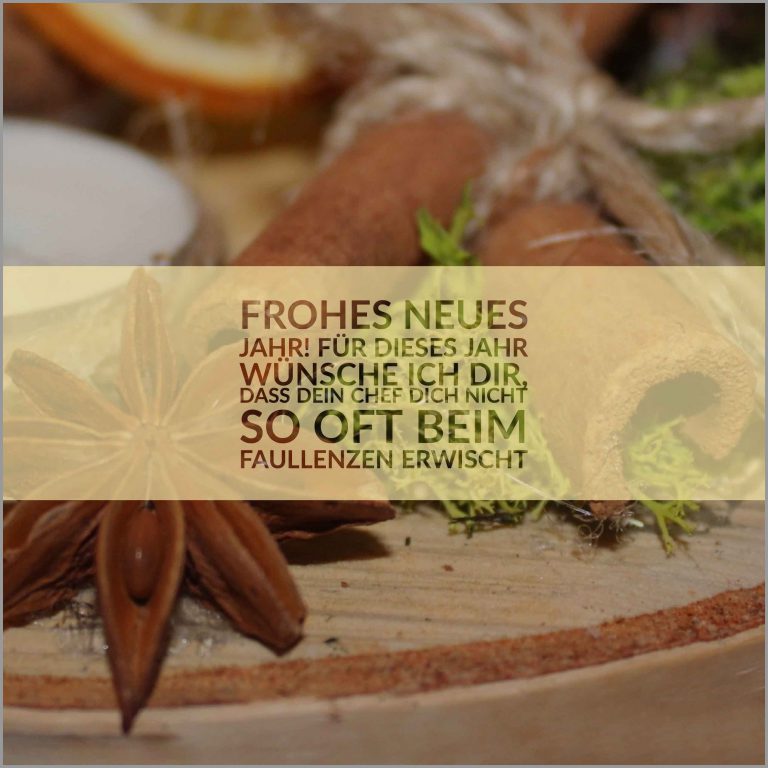 Frohes neues jahr fuer dieses jahr wuensche ich dir dass dein chef dich nicht so oft beim faullenzen erwischt