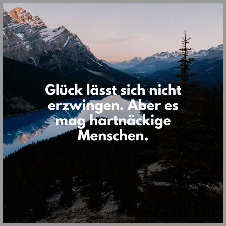 Glueck laesst sich nicht erzwingen aber es mag hartnaeckige menschen