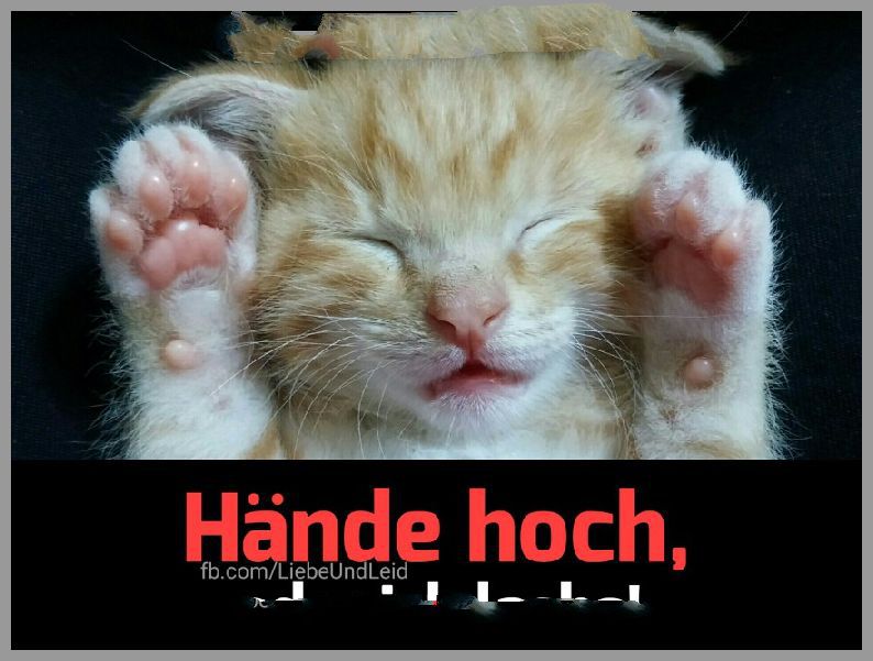 Haende hoch oder ich lache Bilder und Sprüche
