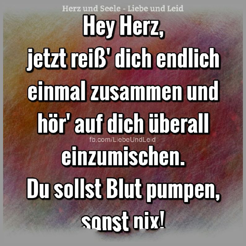 Hey herz jetzt reiss dich endlich einmal zusammen Bilder und Sprüche